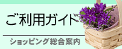 ѥ